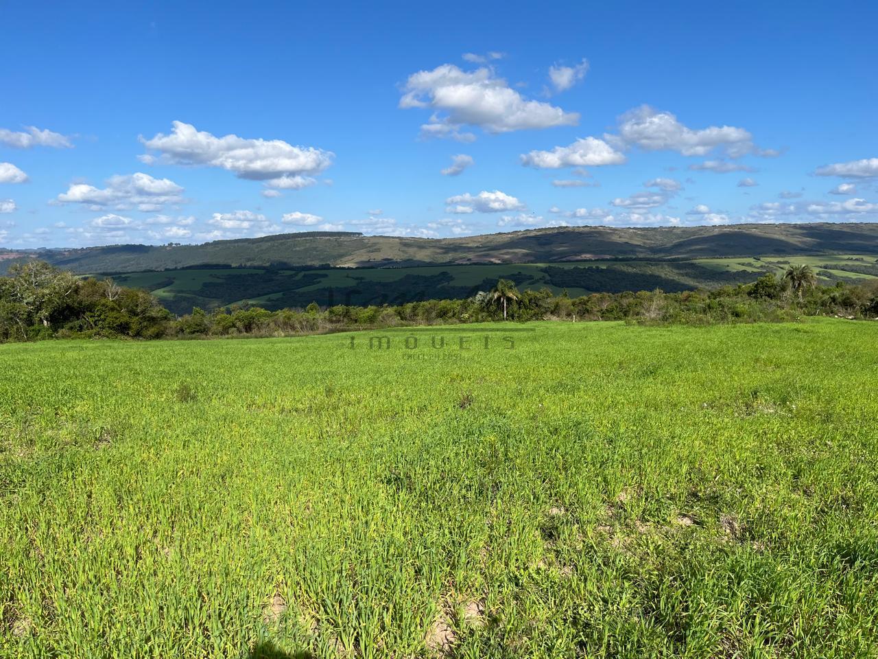 Fazenda à venda, 900m² - Foto 5