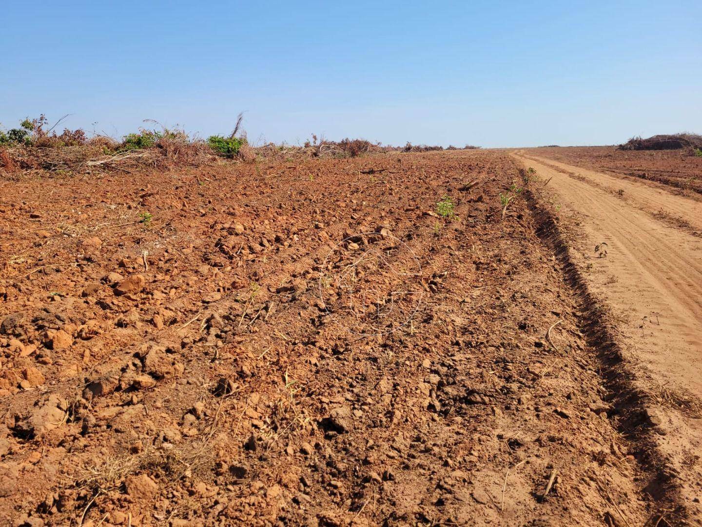 Fazenda à venda, 92830000M2 - Foto 4