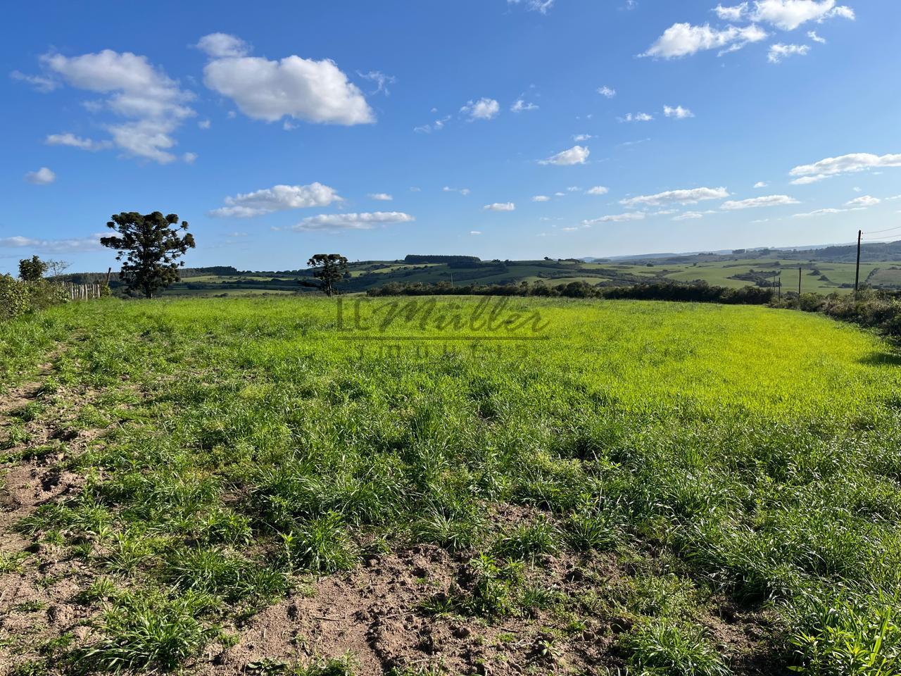 Fazenda à venda, 900m² - Foto 9