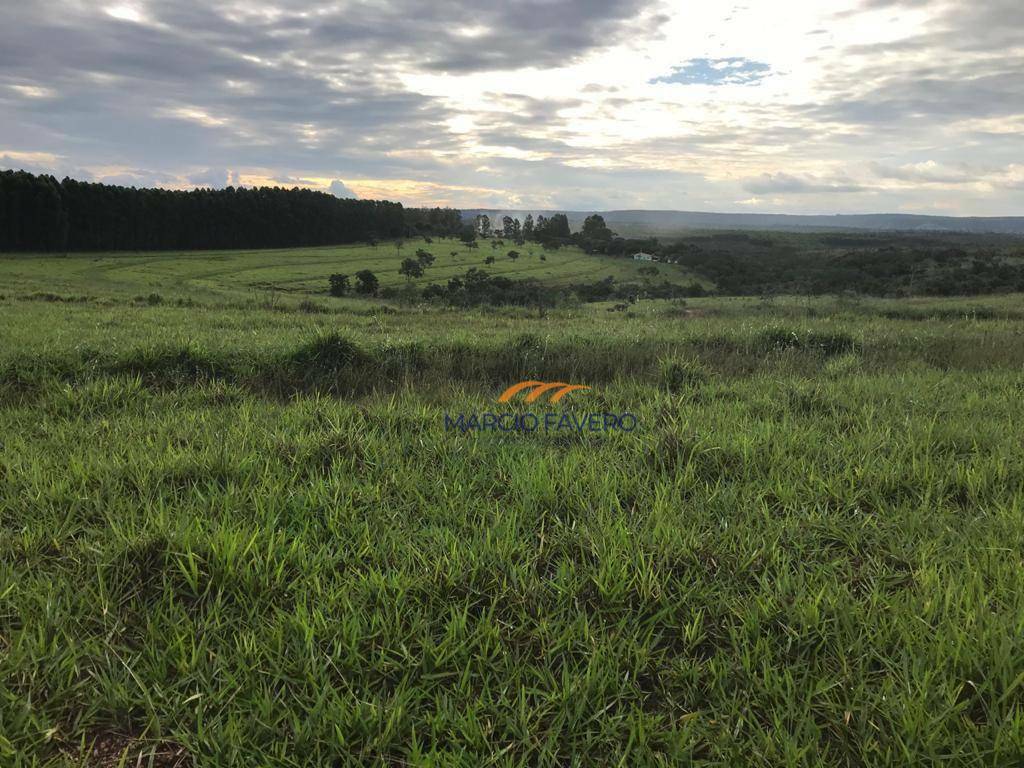 Fazenda à venda, 4250000M2 - Foto 24