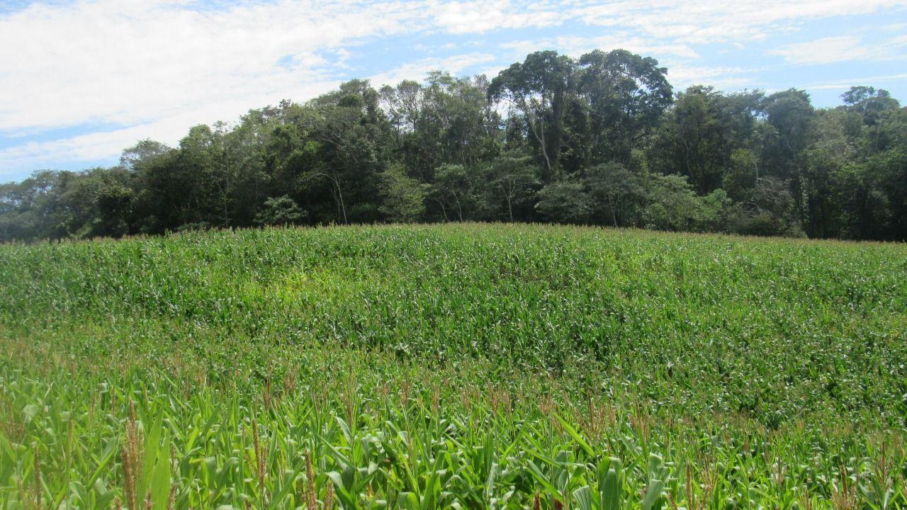 Loteamento e Condomínio à venda, 120000m² - Foto 8