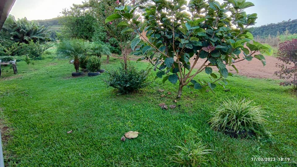 Fazenda à venda com 2 quartos, 8m² - Foto 3