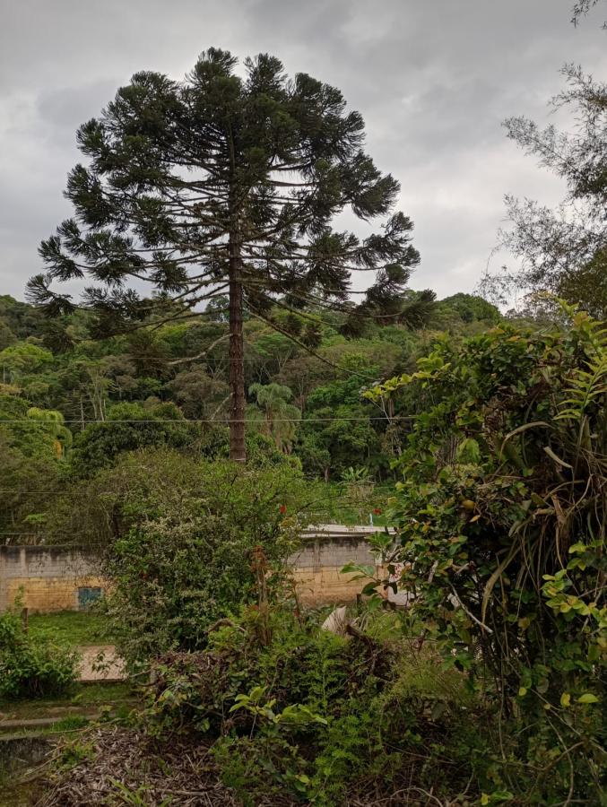 Fazenda à venda com 2 quartos, 2300m² - Foto 16