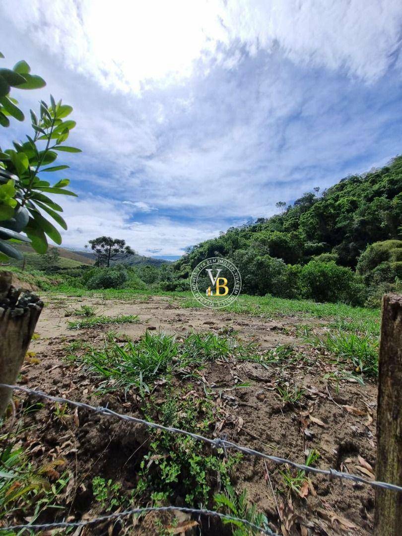 Terreno, 250 m² - Foto 1