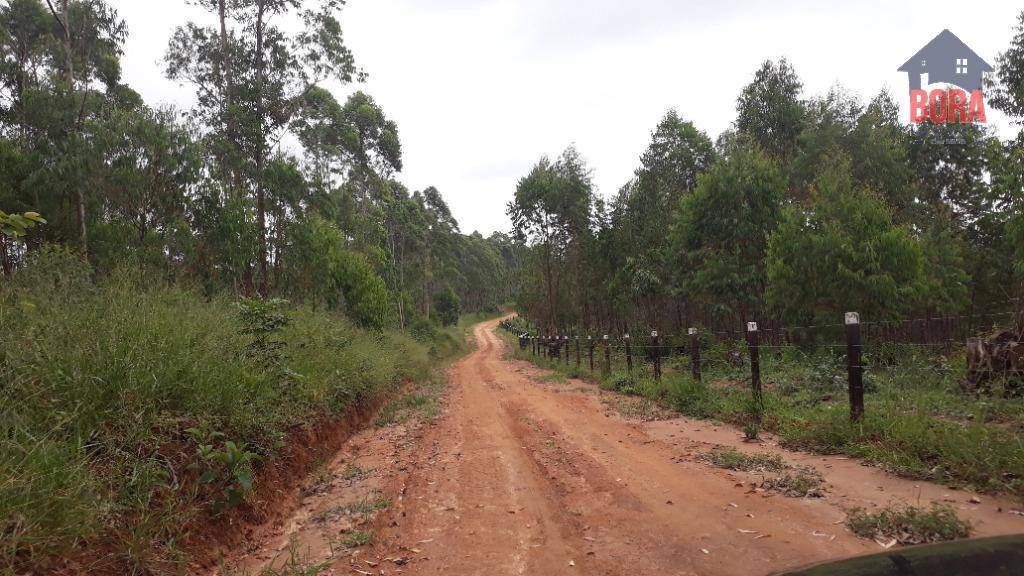 Terreno à venda, 500000M2 - Foto 4