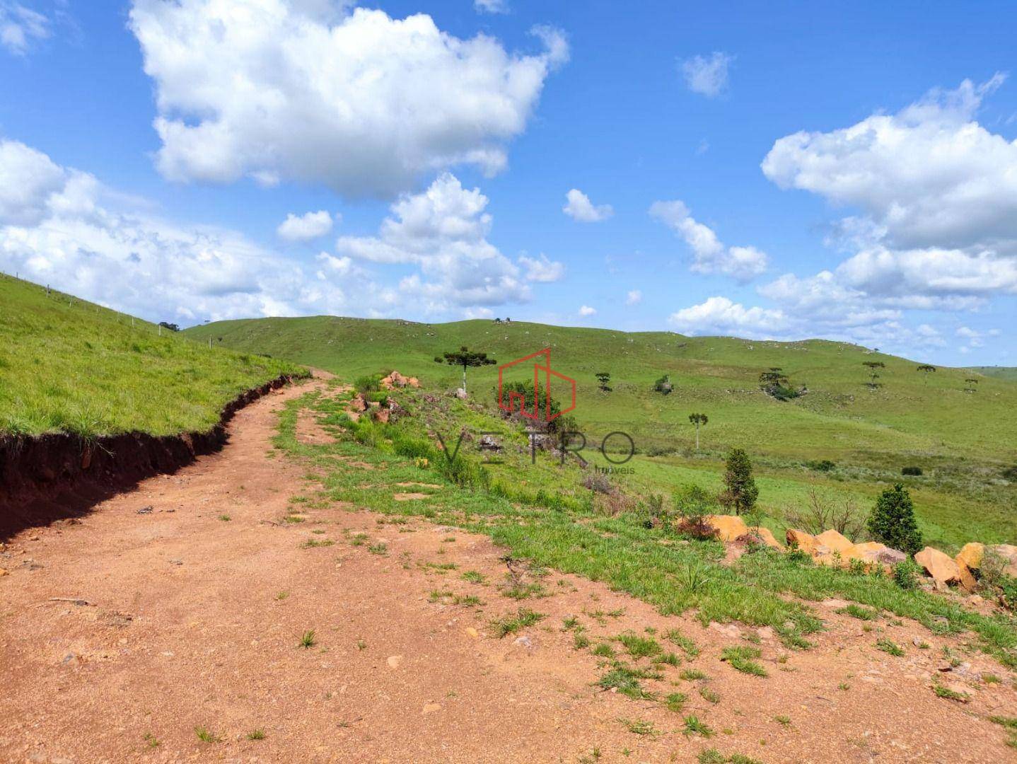 Sítio, 2 hectares - Foto 2