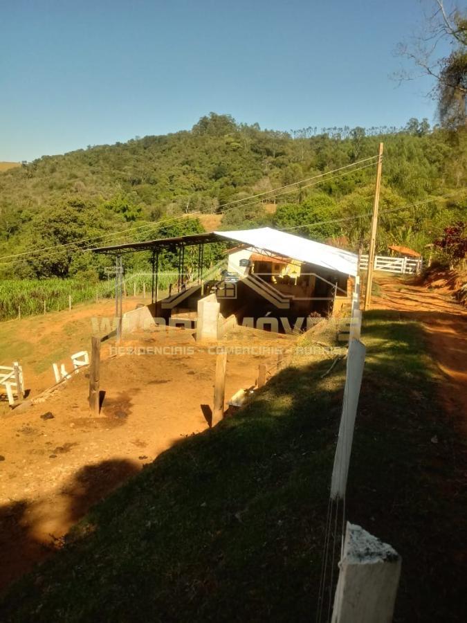 Fazenda à venda com 3 quartos, 25m² - Foto 14