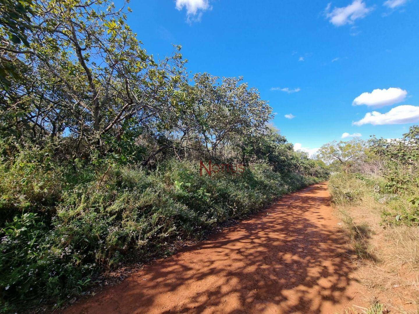 Terreno à venda, 2500M2 - Foto 5