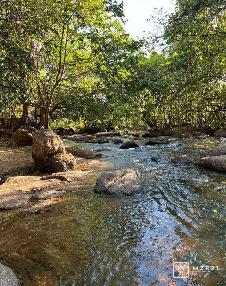 Chácara à venda com 4 quartos, 6000M2 - Foto 60