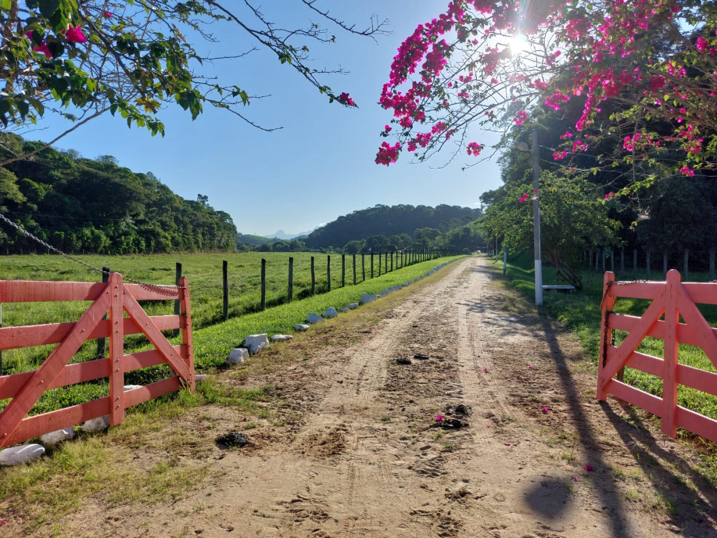 Fazenda à venda com 4 quartos, 34m² - Foto 5