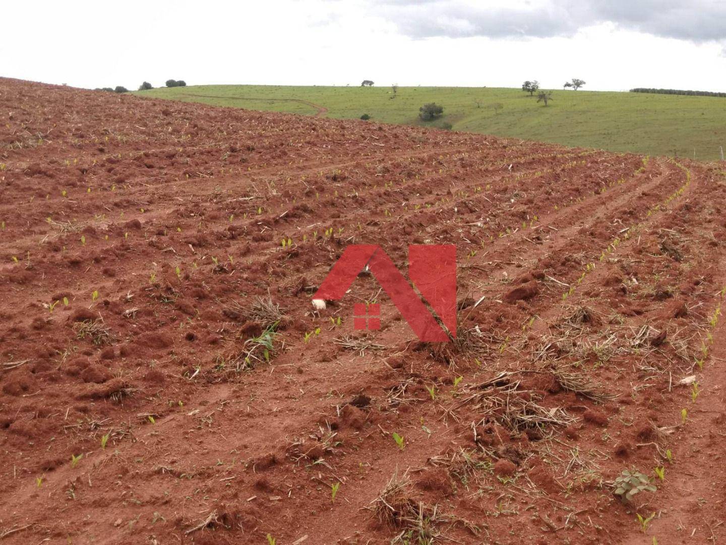 Fazenda-Sítio-Chácara, 3 hectares - Foto 2