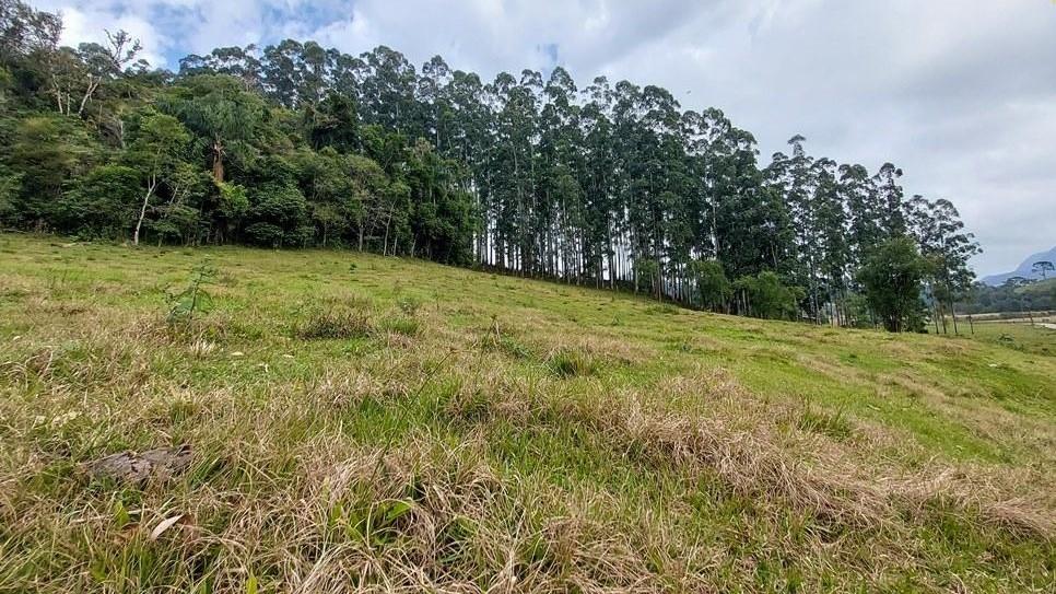 Fazenda à venda, 23900m² - Foto 32