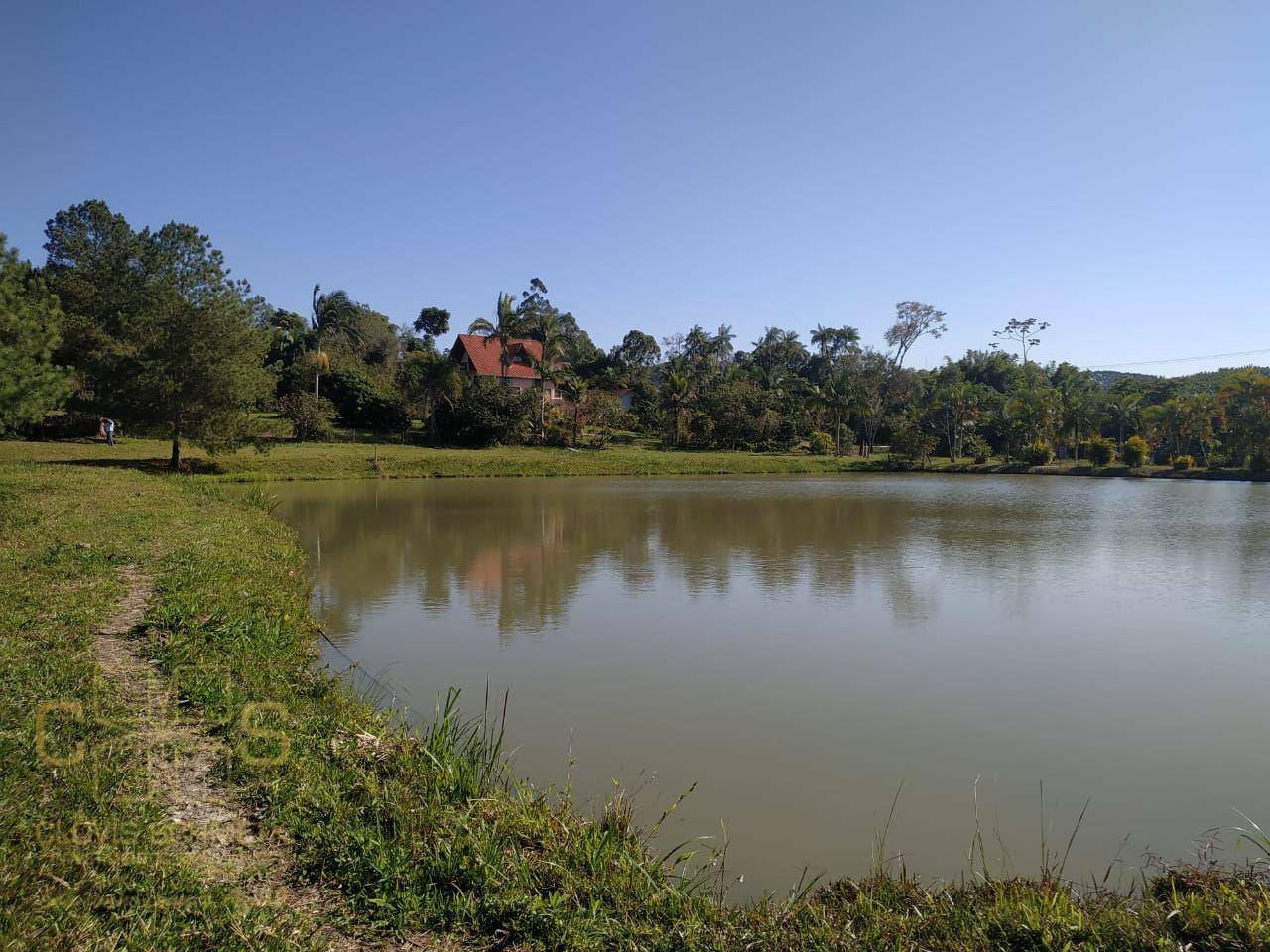 Sítio à venda com 3 quartos, 100000M2 - Foto 9