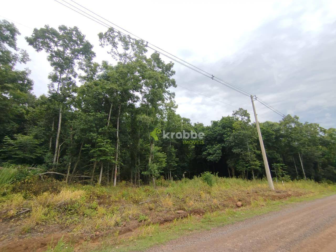 Terreno, 3 hectares - Foto 1