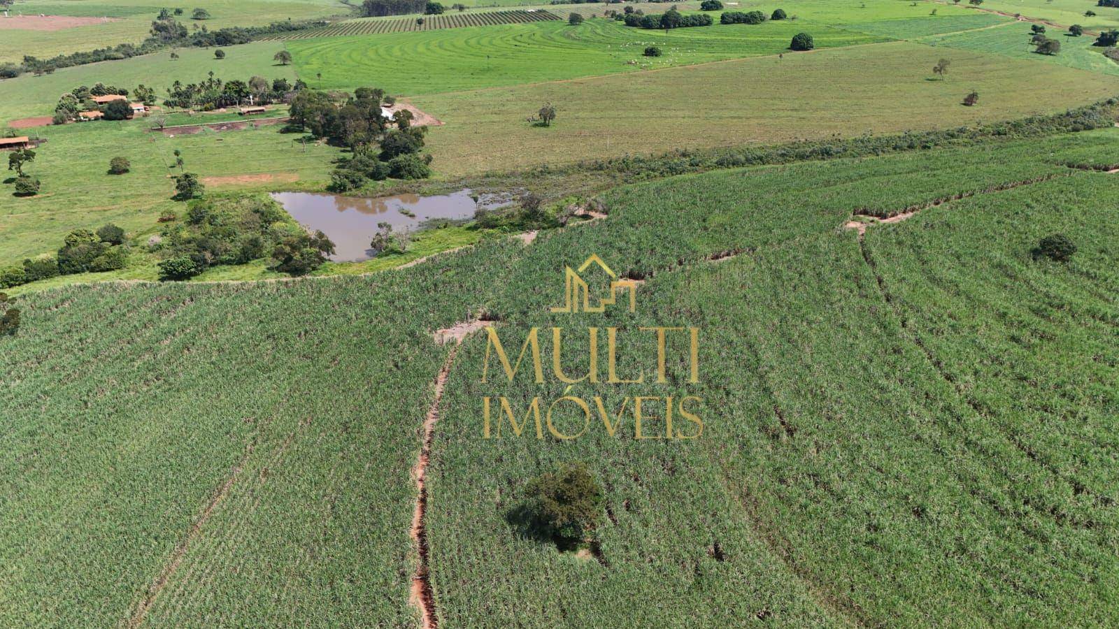 Fazenda à venda com 3 quartos, 556600M2 - Foto 4