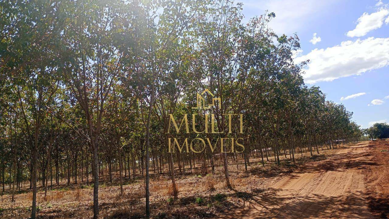Fazenda à venda, 2541000M2 - Foto 1