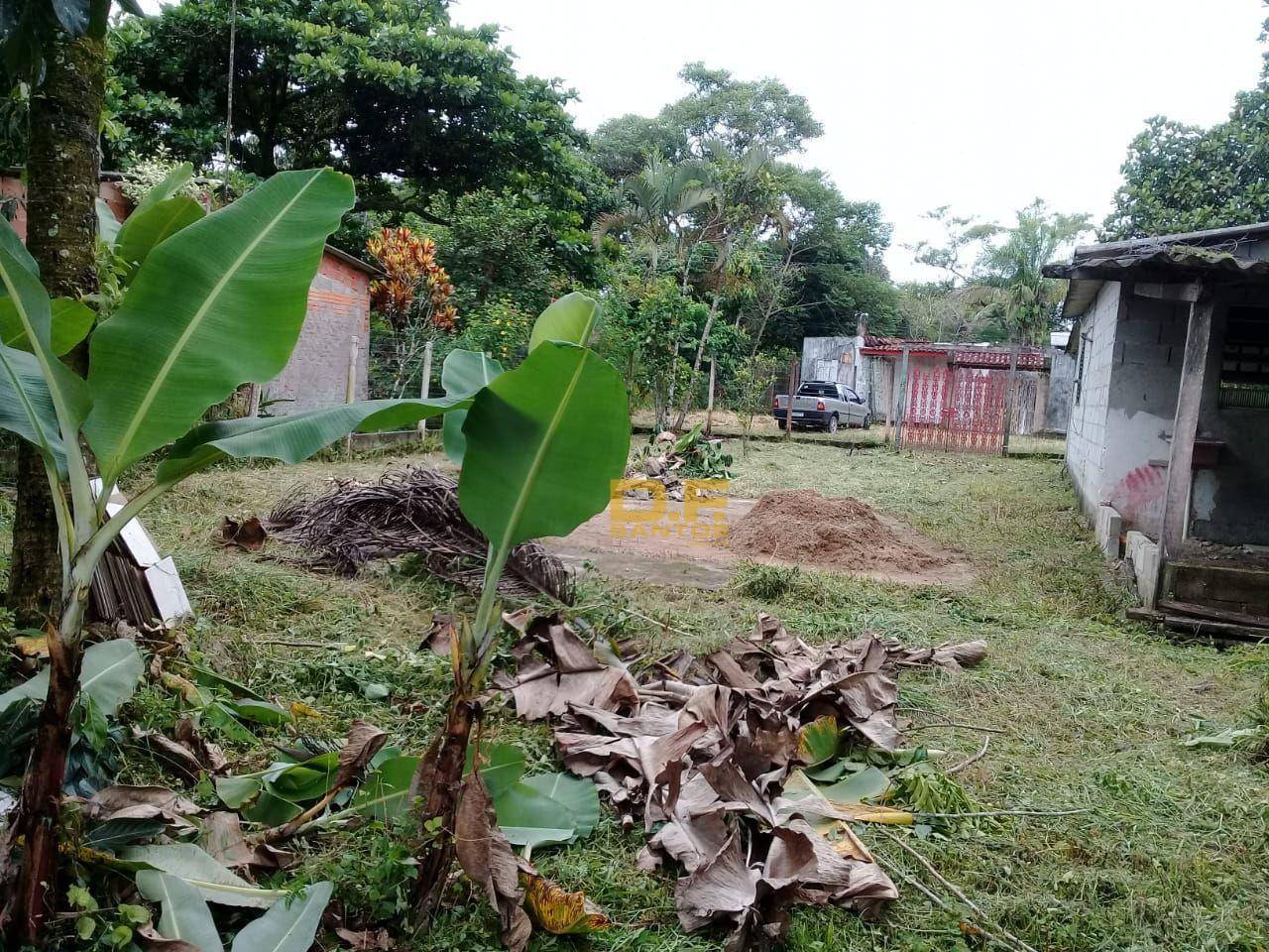 Chácara, 2 quartos, 1000 m² - Foto 3