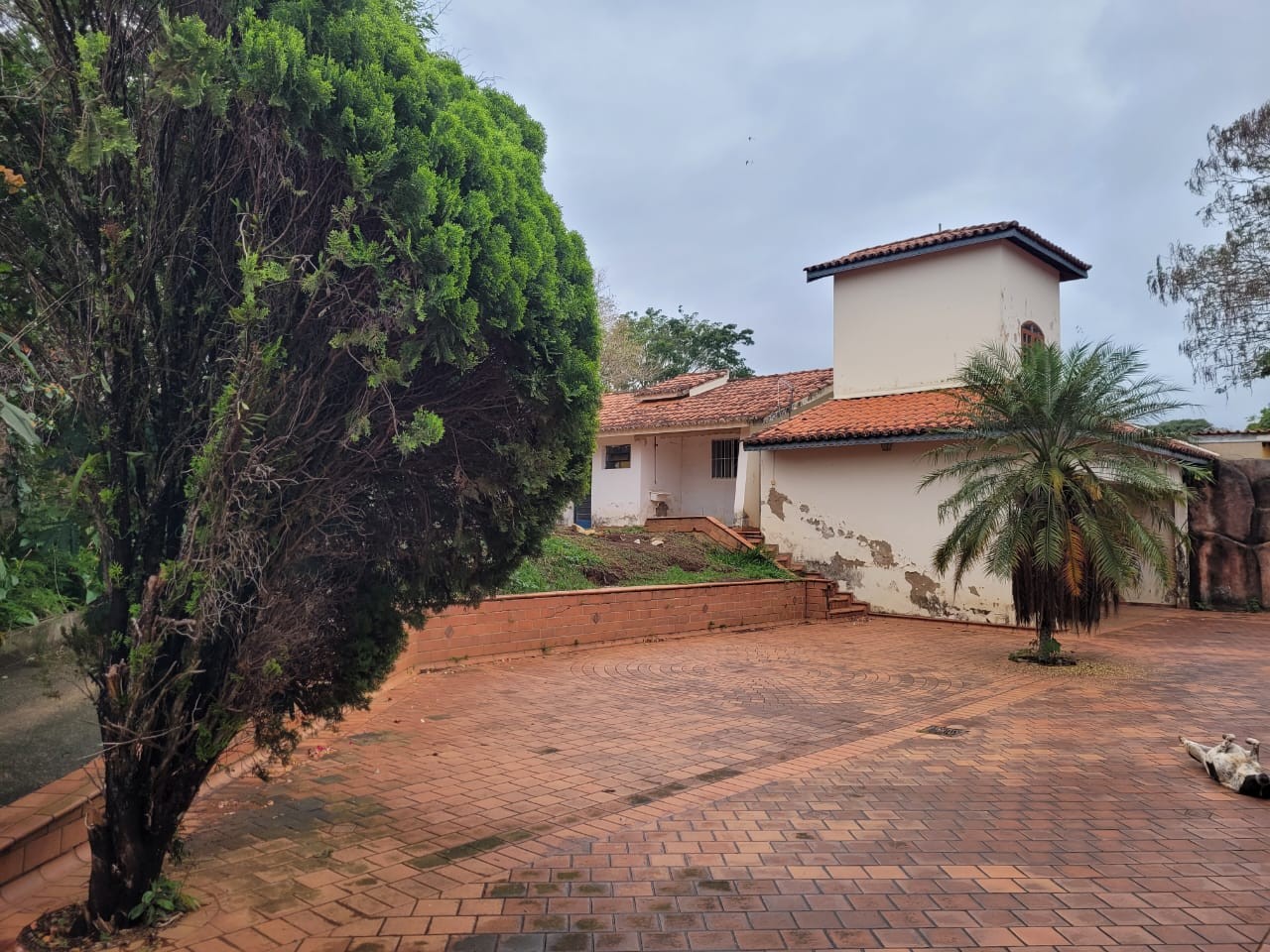 Casa à venda com 4 quartos, 2000m² - Foto 19