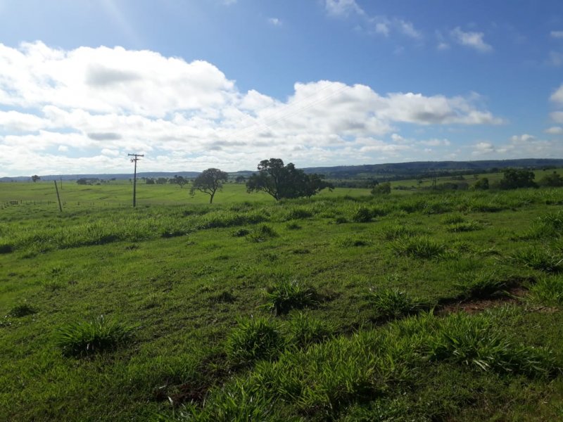 Fazenda-Sítio-Chácara, 280 hectares - Foto 4