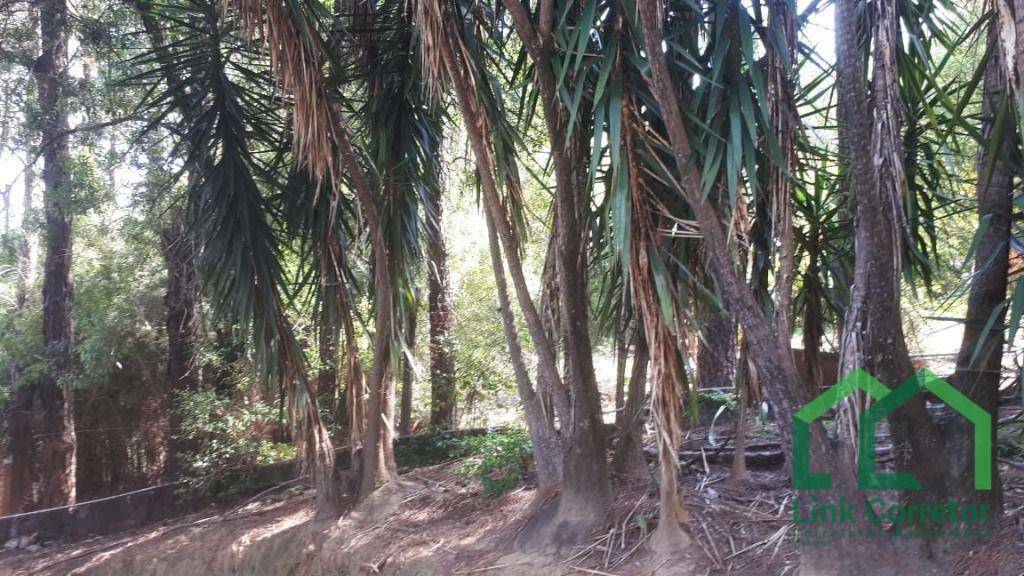 Chácara à venda com 2 quartos, 1268M2 - Foto 20