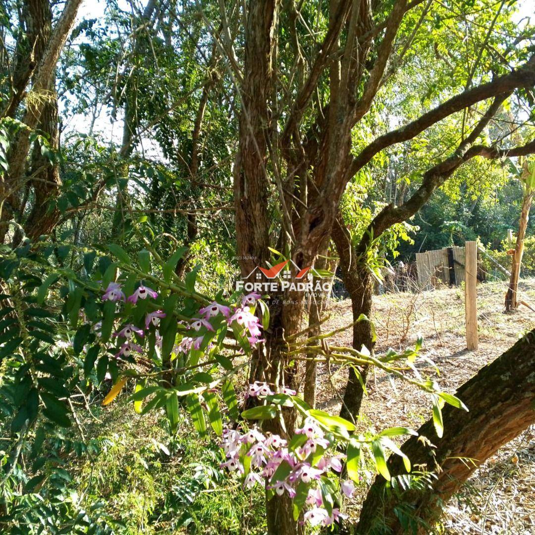 Chácara, 2 quartos, 1120 m² - Foto 5