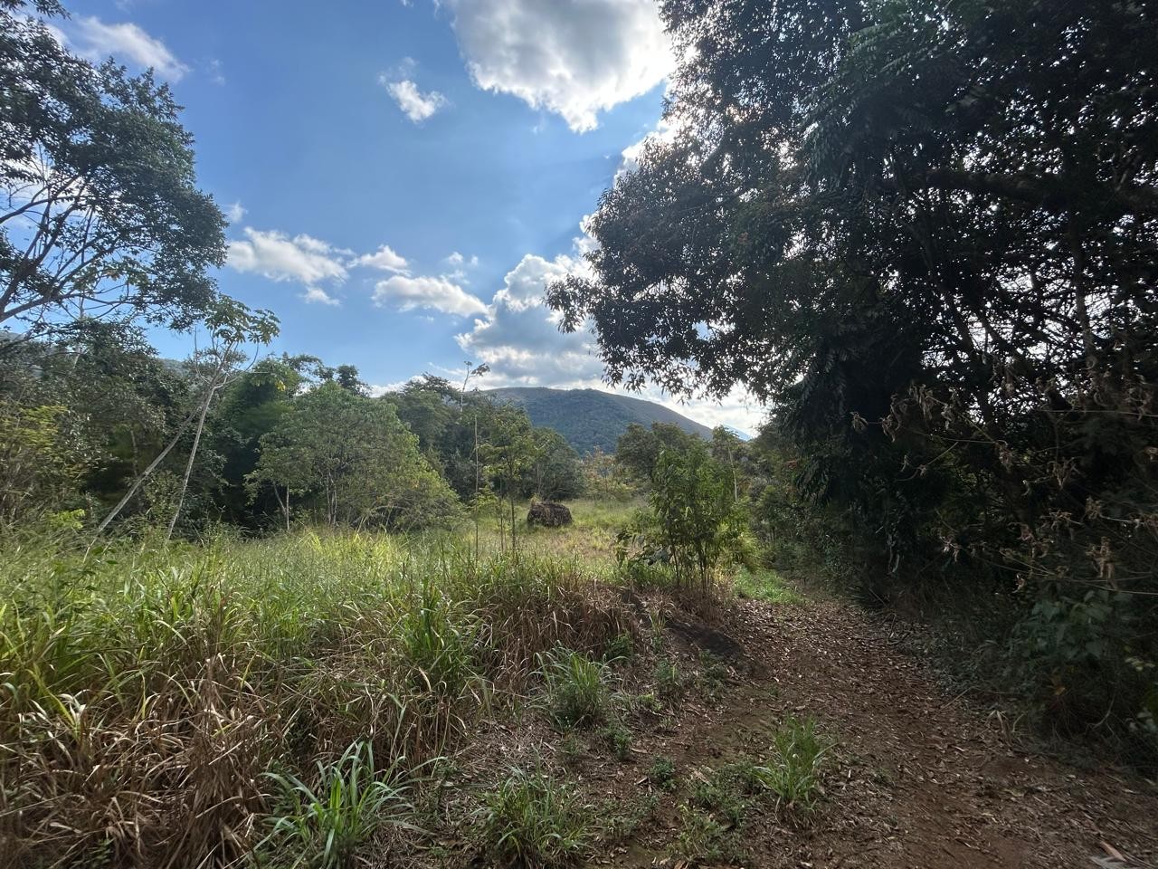 Terreno à venda, 178000m² - Foto 7