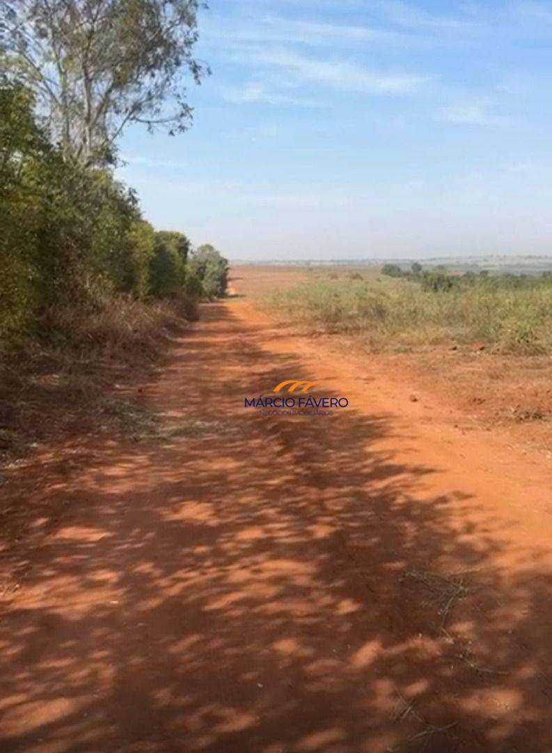 Fazenda, 123 hectares - Foto 2