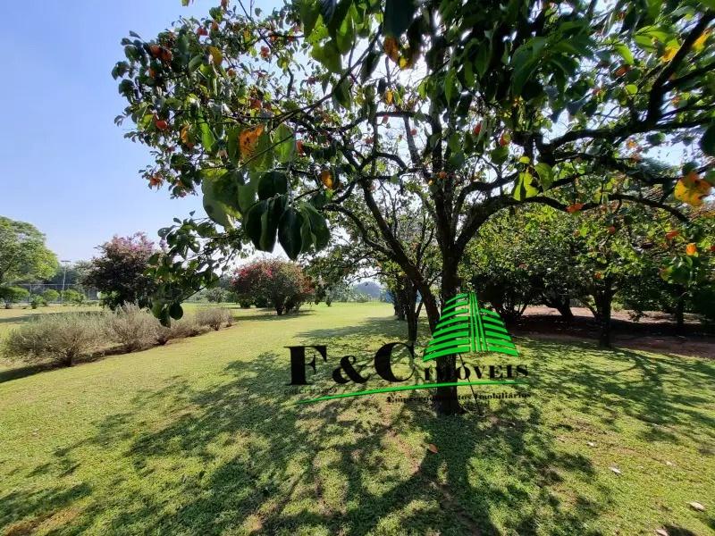 Chácara à venda com 8 quartos, 20000m² - Foto 4