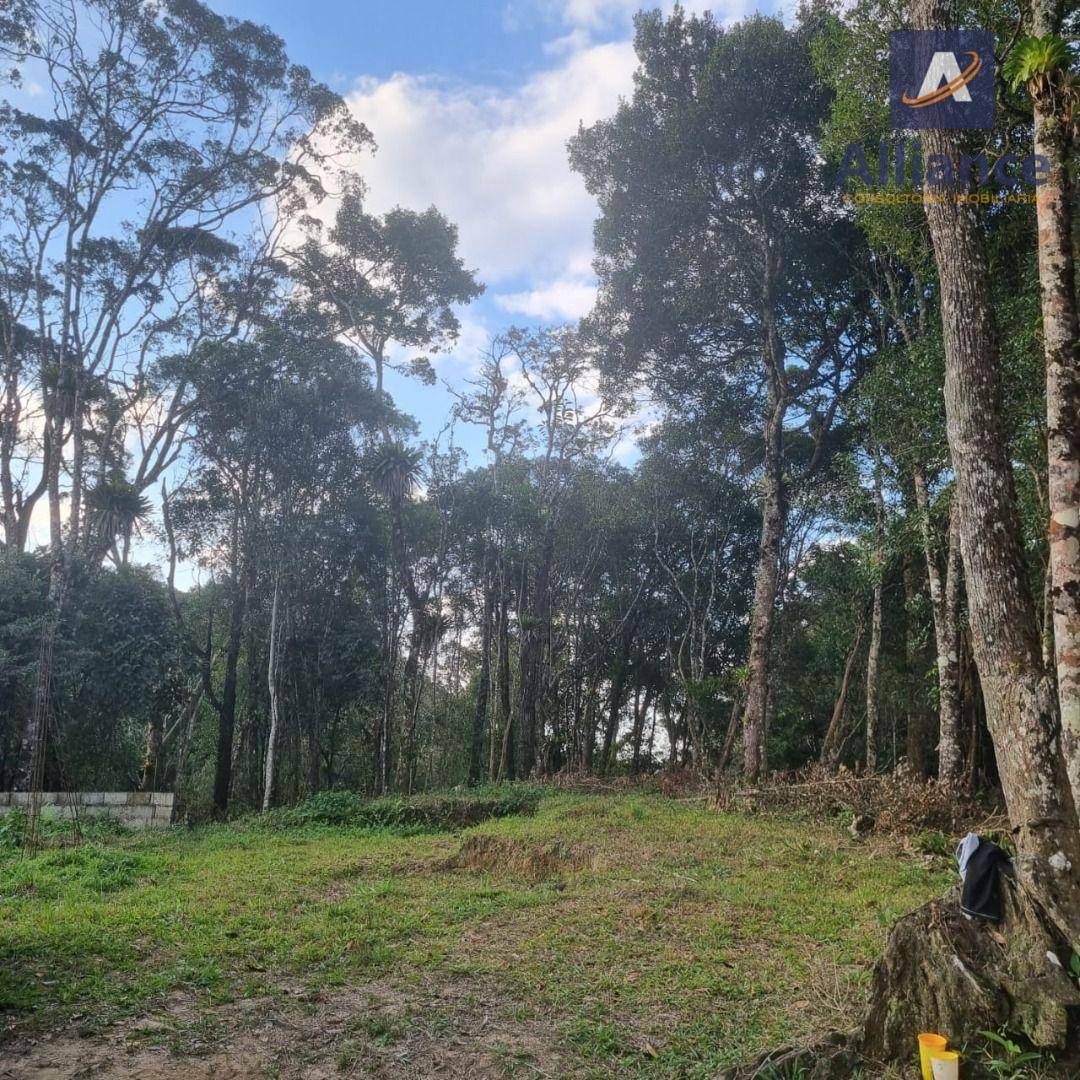 Sítio à venda com 1 quarto, 100m² - Foto 2