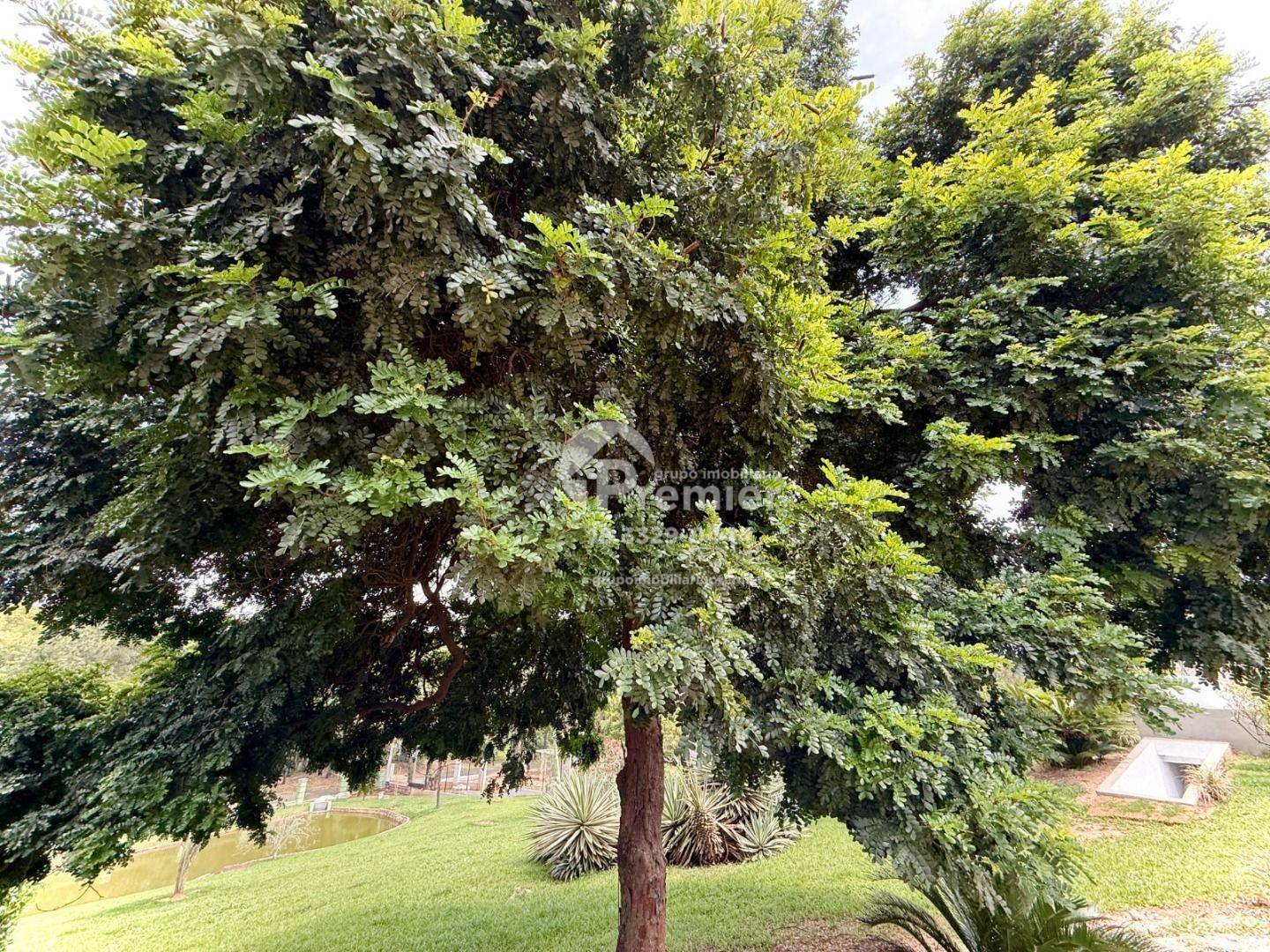 Chácara, 3 quartos, 5000 m² - Foto 40