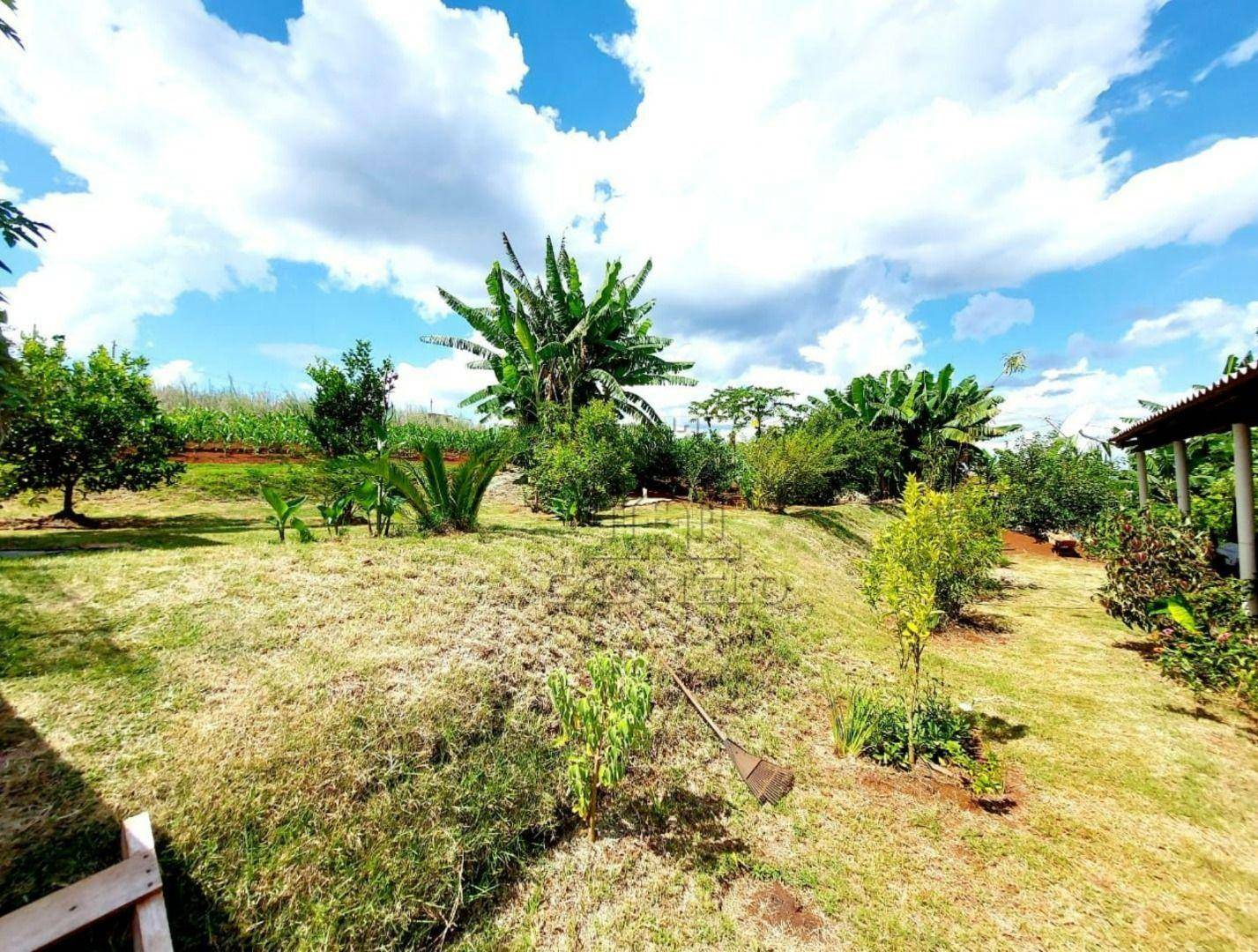 Chácara à venda com 4 quartos, 1000M2 - Foto 4