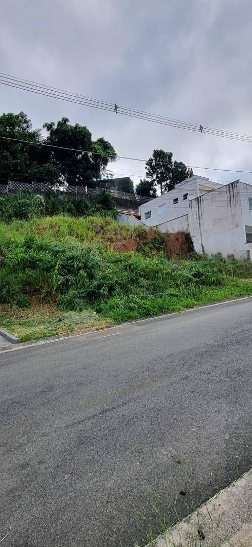 Terreno, 250 m² - Foto 3