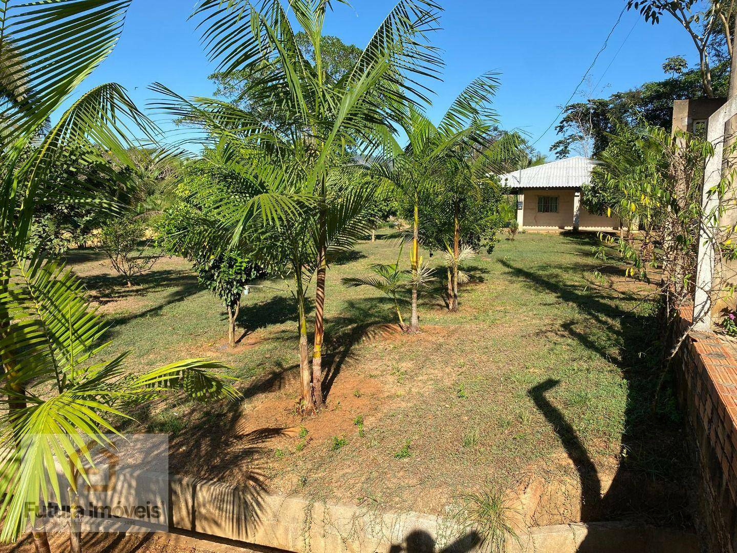 Chácara à venda com 3 quartos, 6000M2 - Foto 20