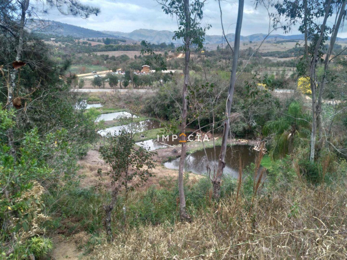 Chácara à venda com 3 quartos, 8000M2 - Foto 21