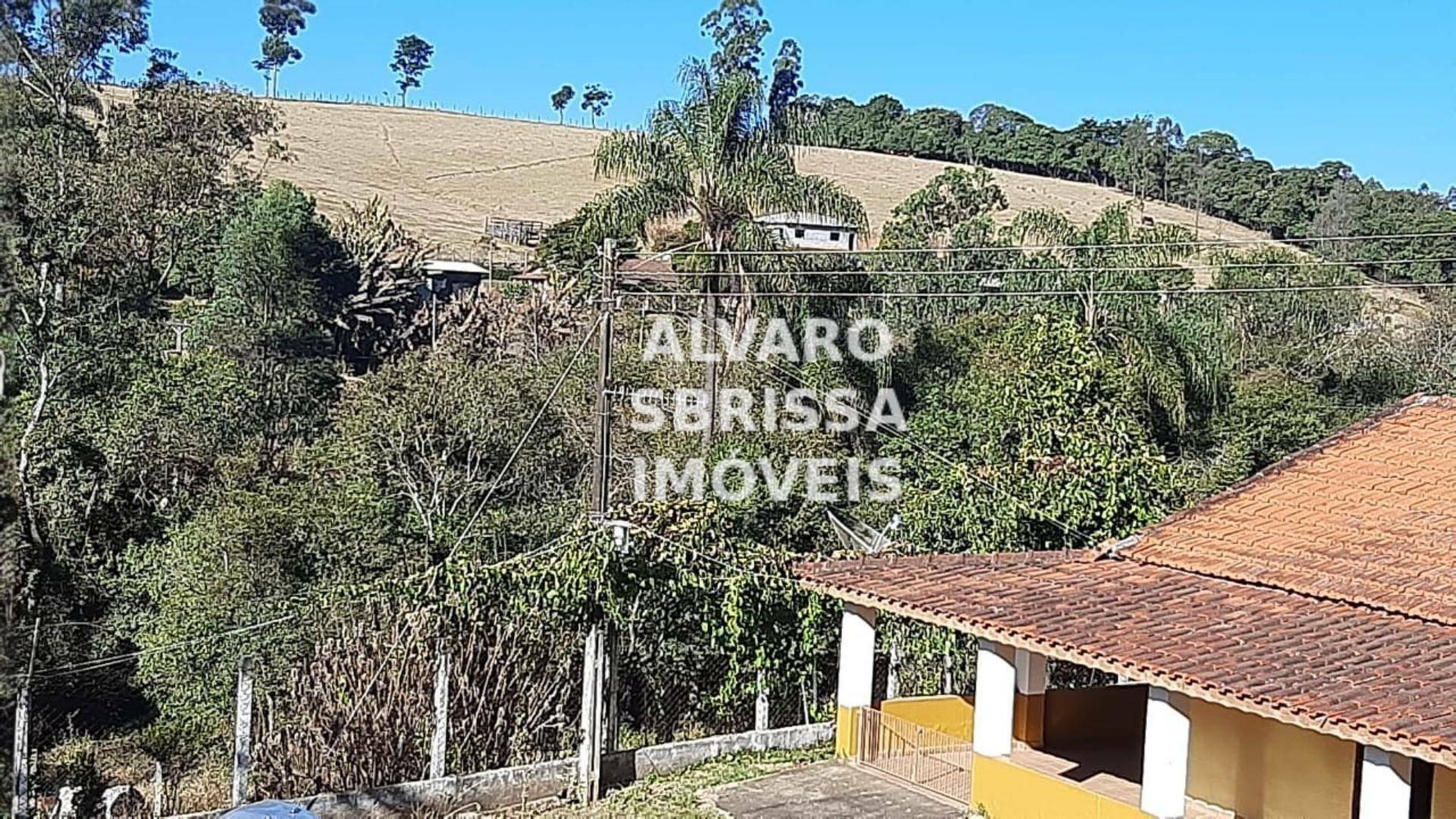 Chácara à venda com 3 quartos, 25000m² - Foto 20