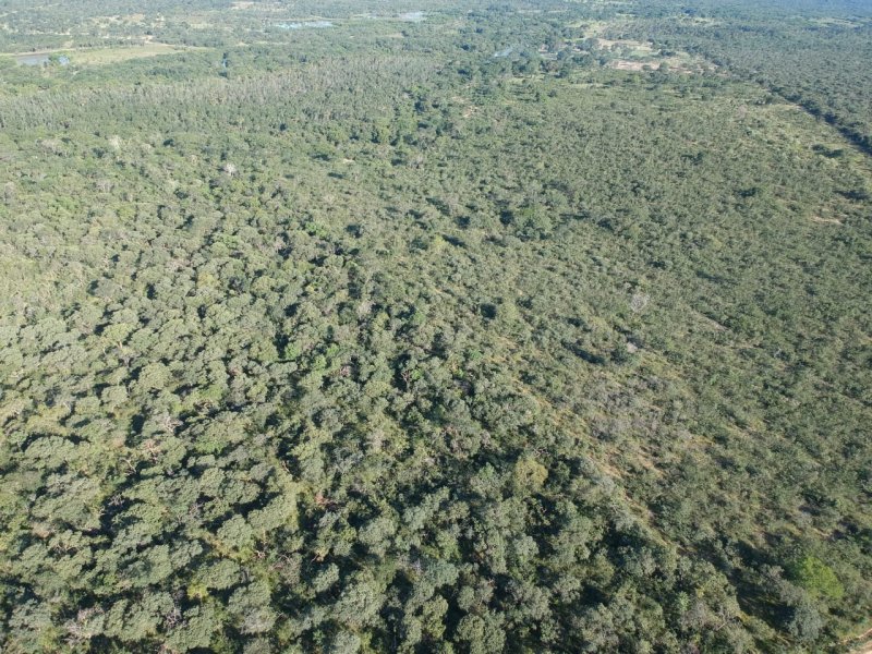 Fazenda à venda, 906m² - Foto 6