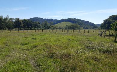 Fazenda à venda com 2 quartos, 290000m² - Foto 8