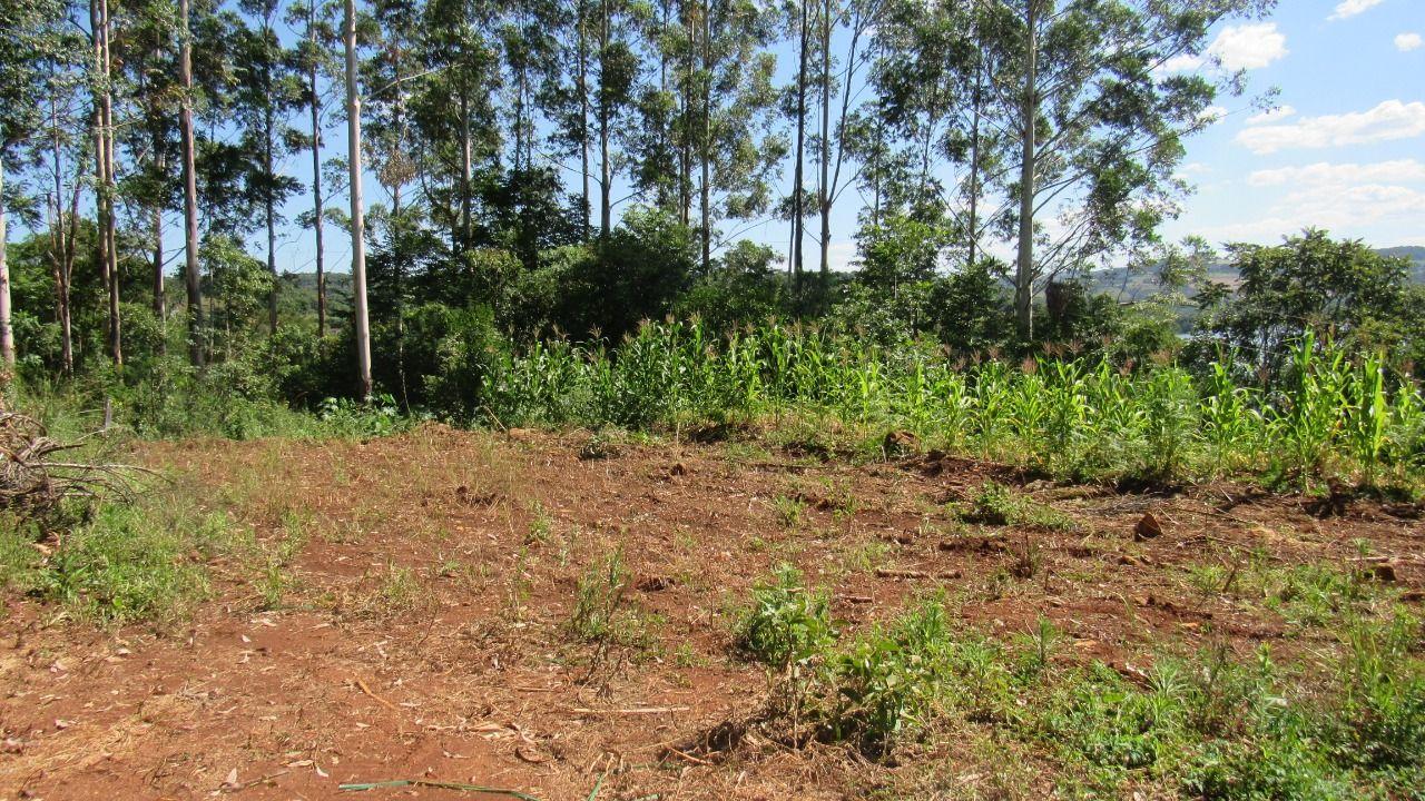 Terreno à venda, 1000m² - Foto 25