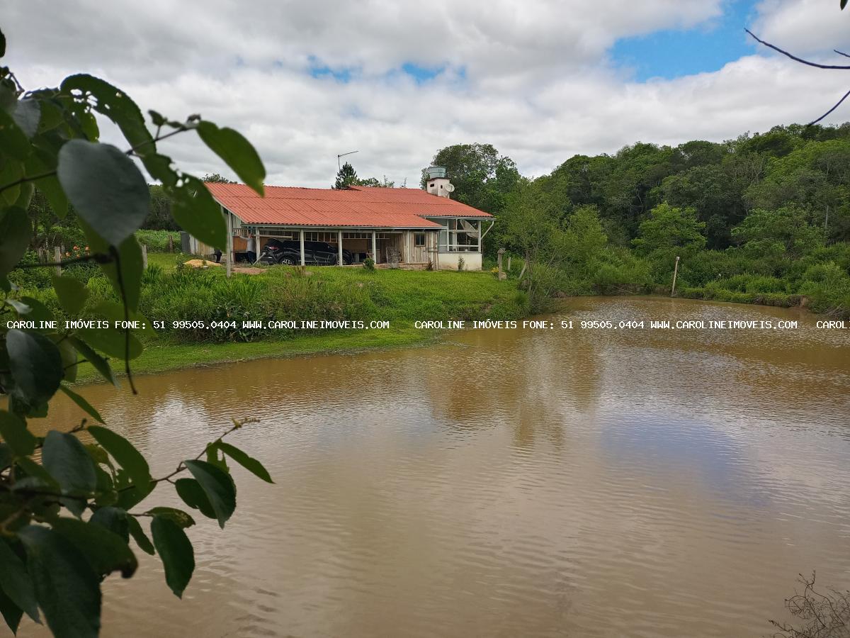 Chácara à venda com 3 quartos, 29000m² - Foto 15