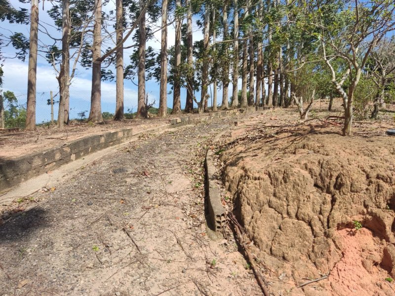 Fazenda à venda com 3 quartos, 120m² - Foto 18