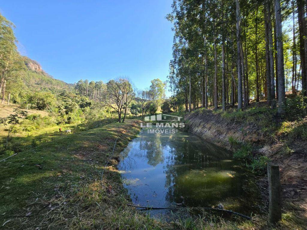 Fazenda à venda com 2 quartos, 400m² - Foto 34