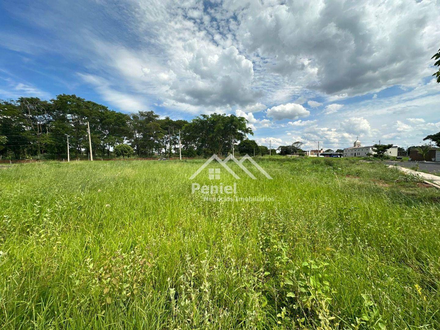 Terreno à venda, 2500M2 - Foto 3