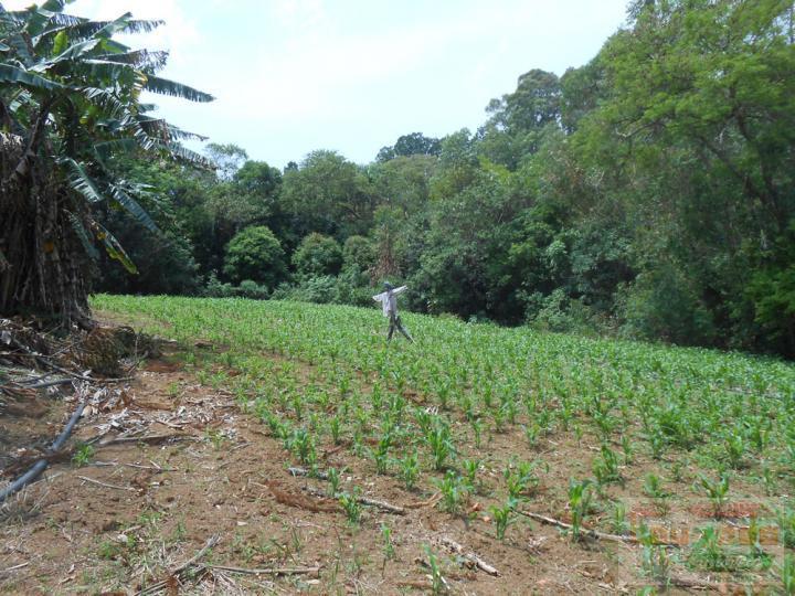 Chácara à venda com 4 quartos, 120000m² - Foto 12