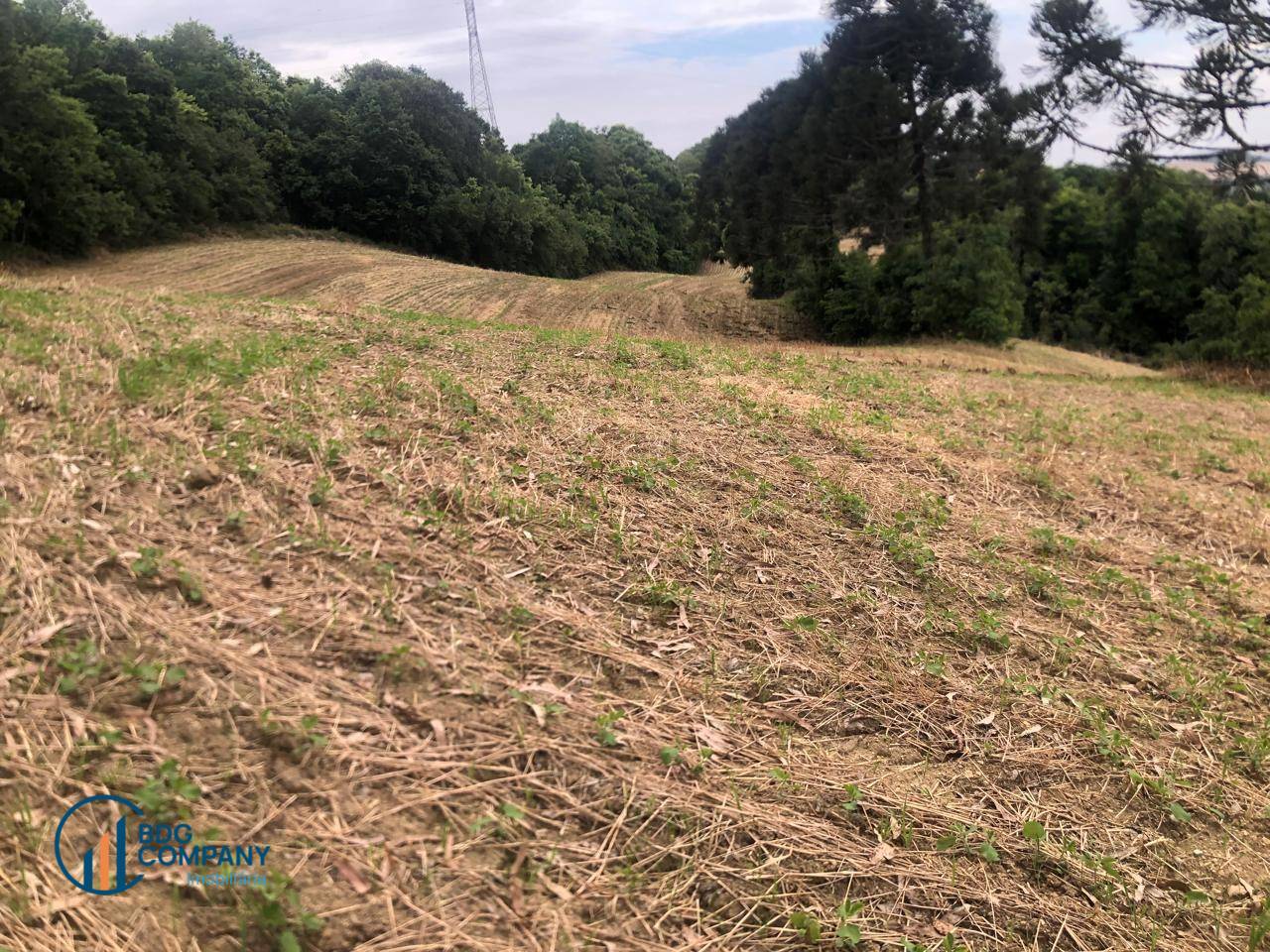 Sítio, 26 hectares - Foto 4