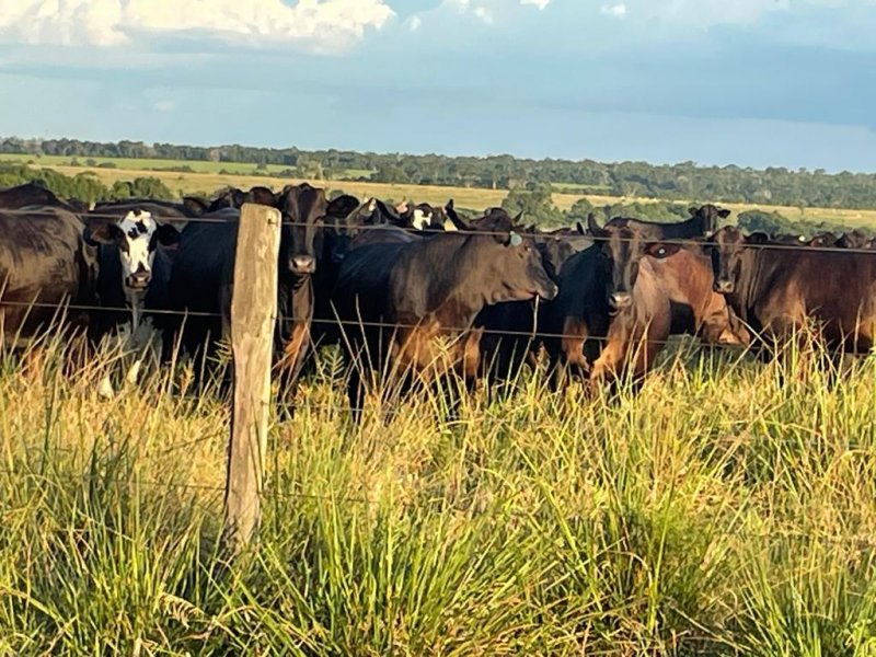 Fazenda à venda, 17125m² - Foto 12