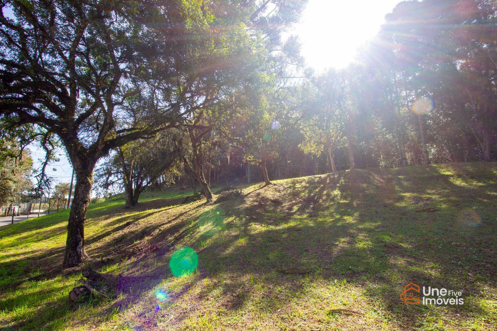 Terreno, 3799 m² - Foto 8