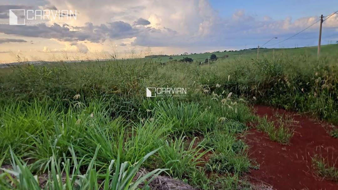 Terreno à venda, 300M2 - Foto 4