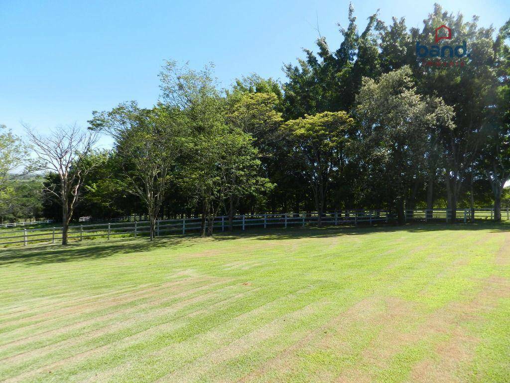 Haras e Área Rural Padrão à venda com 4 quartos, 1500m² - Foto 29