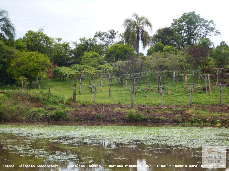 Fazenda à venda com 3 quartos, 60000m² - Foto 15