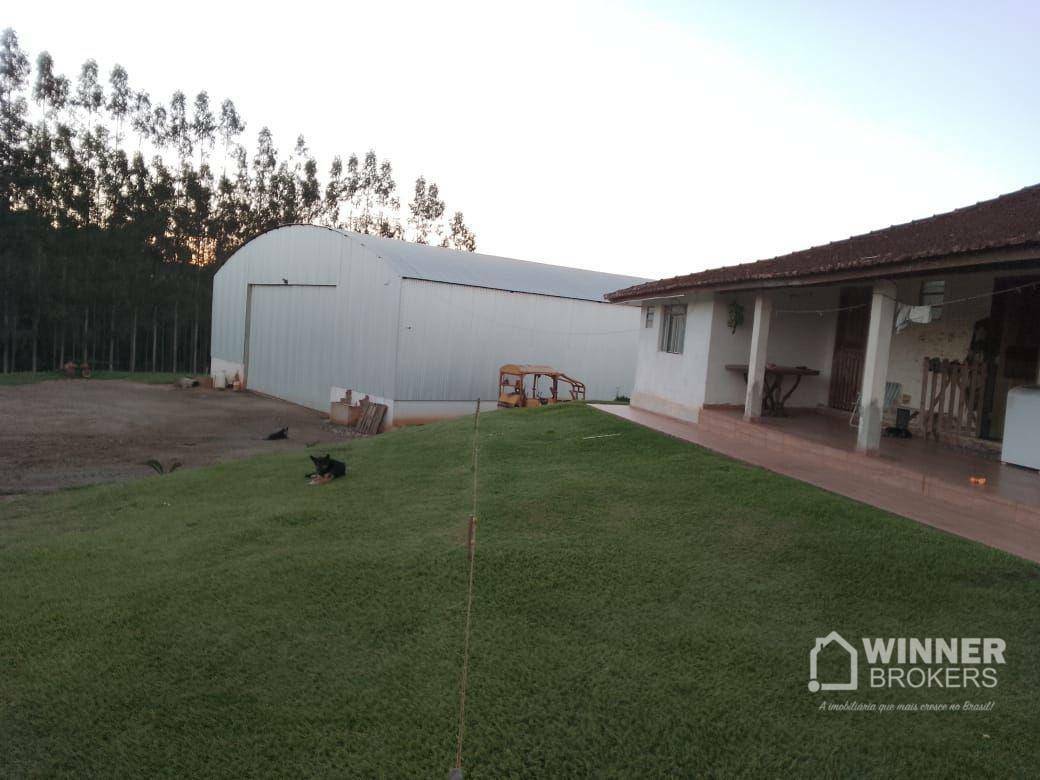 Fazenda à venda com 3 quartos, 3920000M2 - Foto 11